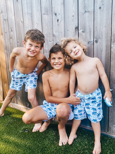 Navalora Matching Swimsuits Boy's Elephants on Parade Swim Shorts Swimsuit